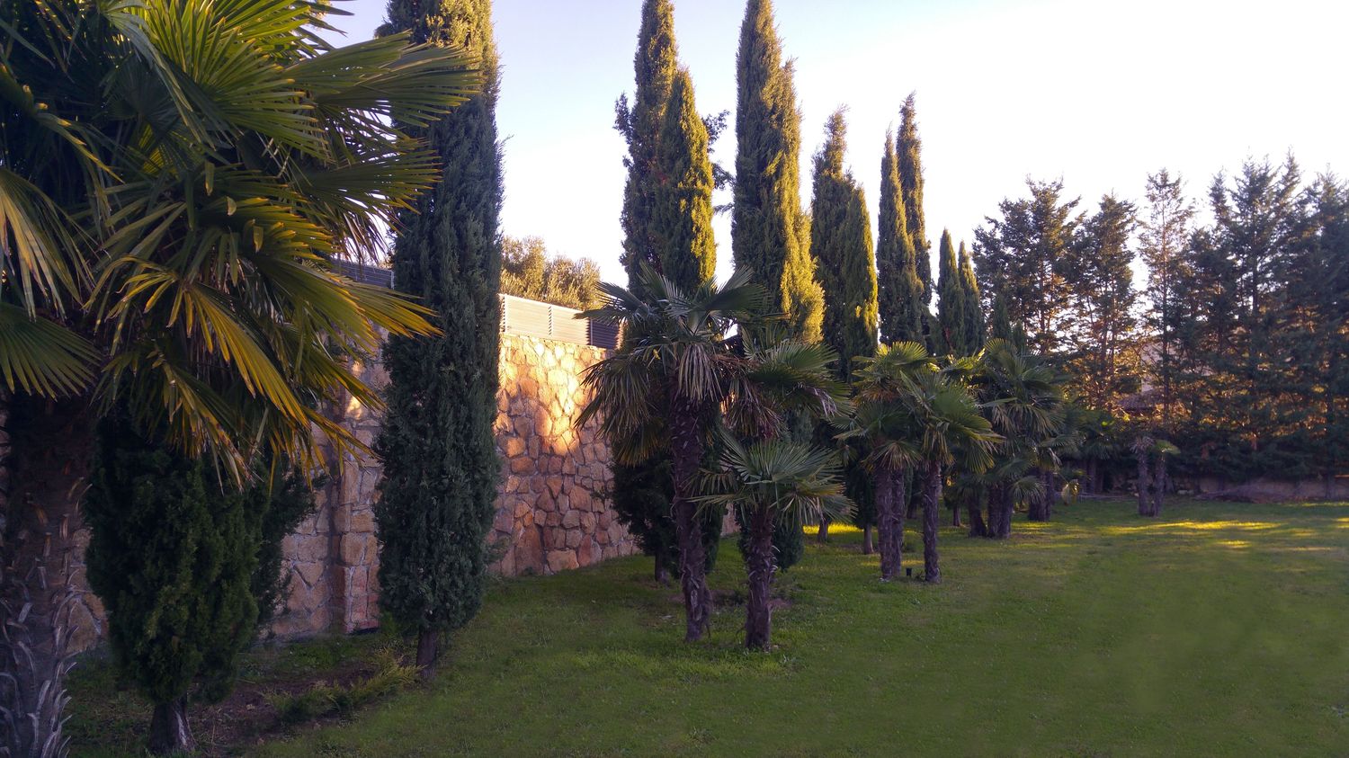 Vista del jardin con cipreses y palmeras